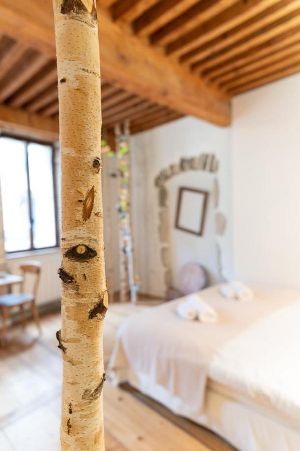 La Cour Filaterie - Suite Of 30 Sq M In The Annecy Breakfast Included ภายนอก รูปภาพ
